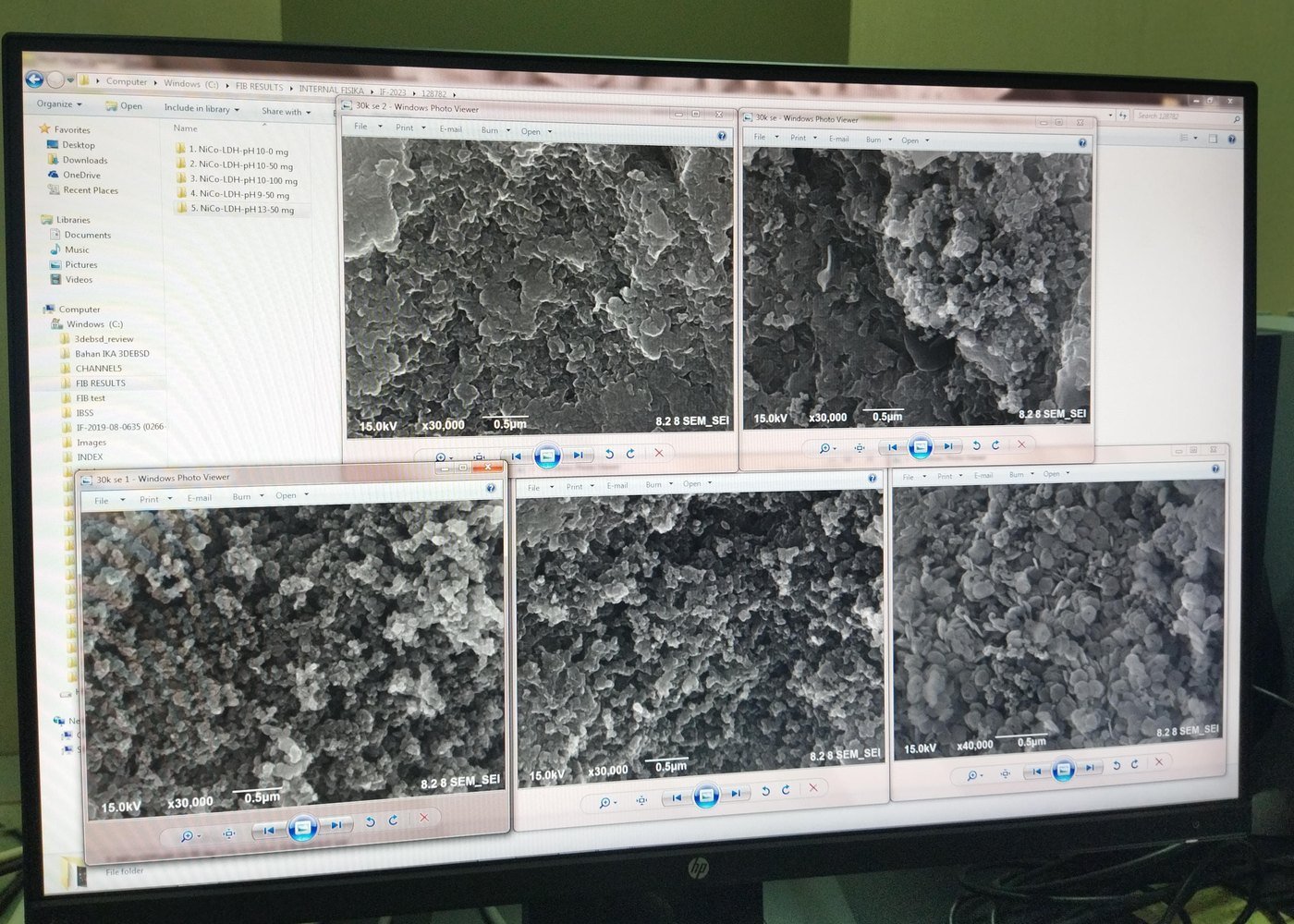 Four FESEM images of the NiCo layered double hydroxide on carbon samples shown on a computer screen