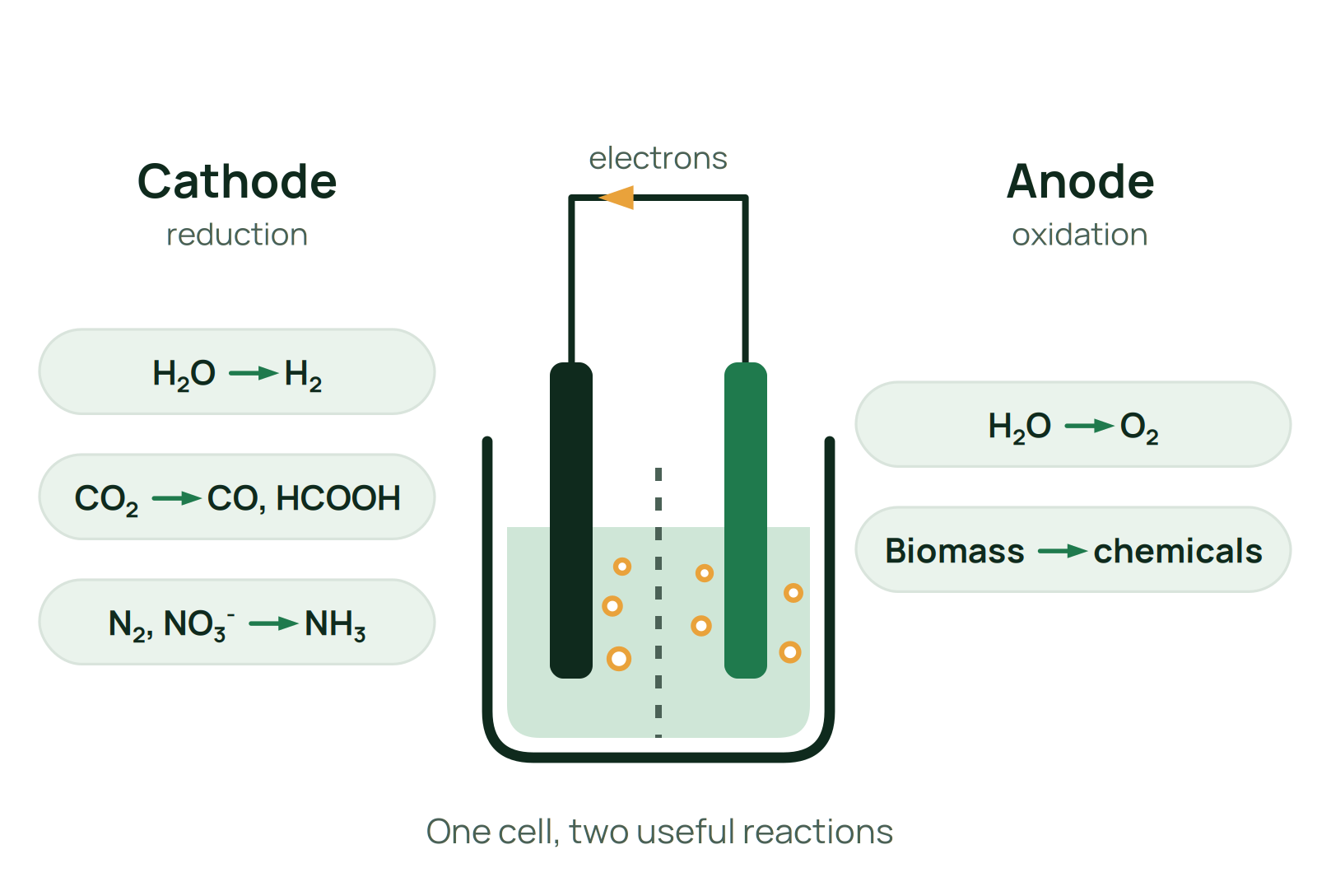 An electrochemical cell with reduction reactions at the cathode and oxidation reactions at the anode