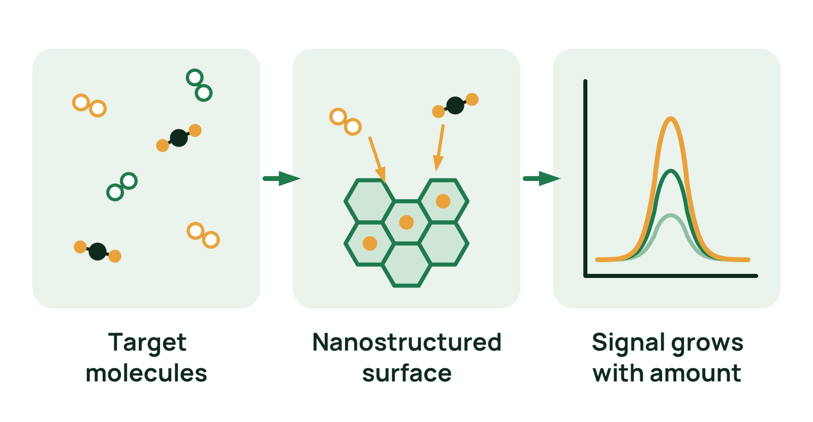 Target molecules bind to a nanostructured surface and produce a signal peak that grows with concentration