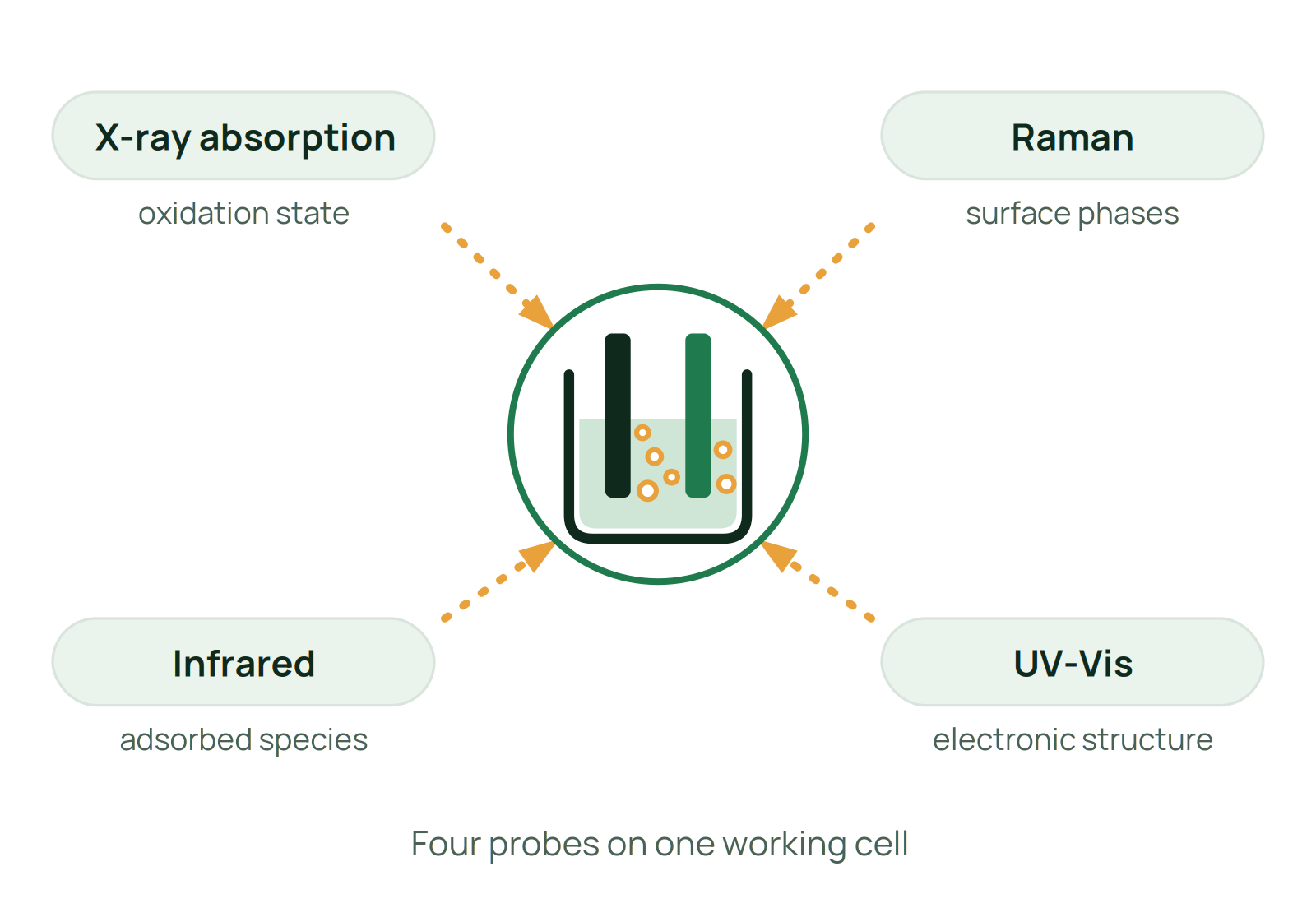 A working electrochemical cell probed by X-ray absorption, Raman, infrared, and UV-Vis spectroscopy