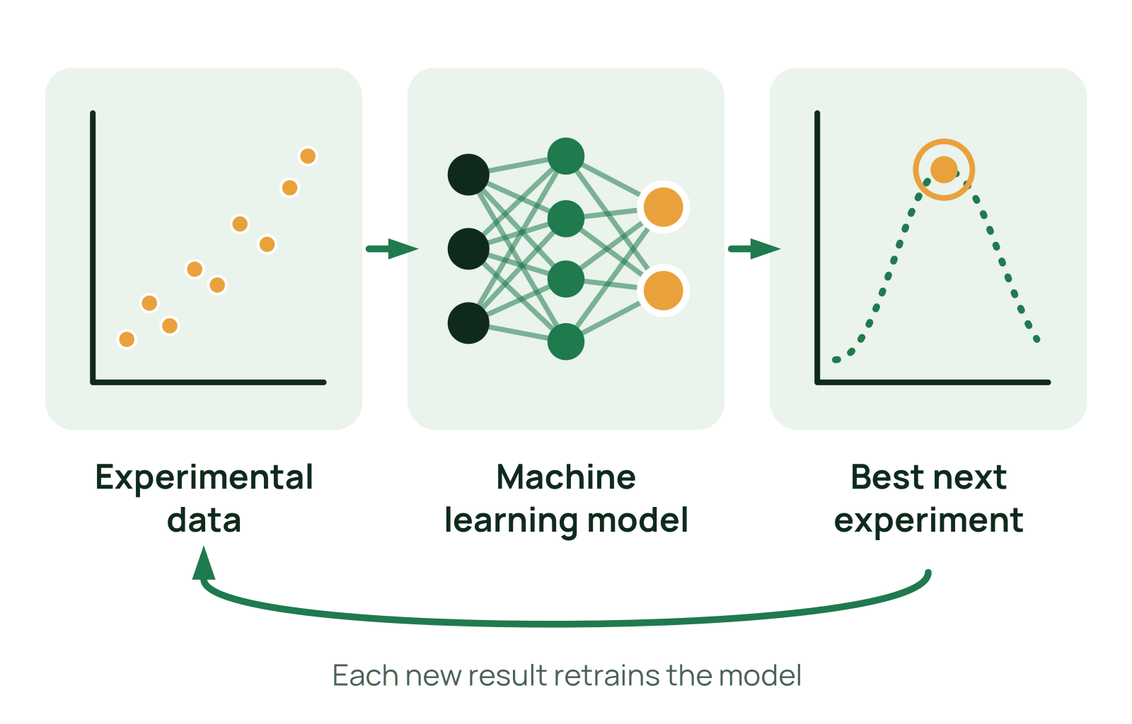 Experimental data feed a machine learning model, which suggests the best next experiment, and each new result retrains the model